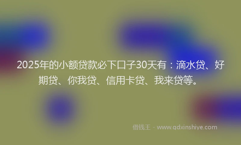 2025年的小额贷款必下口子30天有：滴水贷、好期贷、你我贷、信用卡贷、我来贷等。