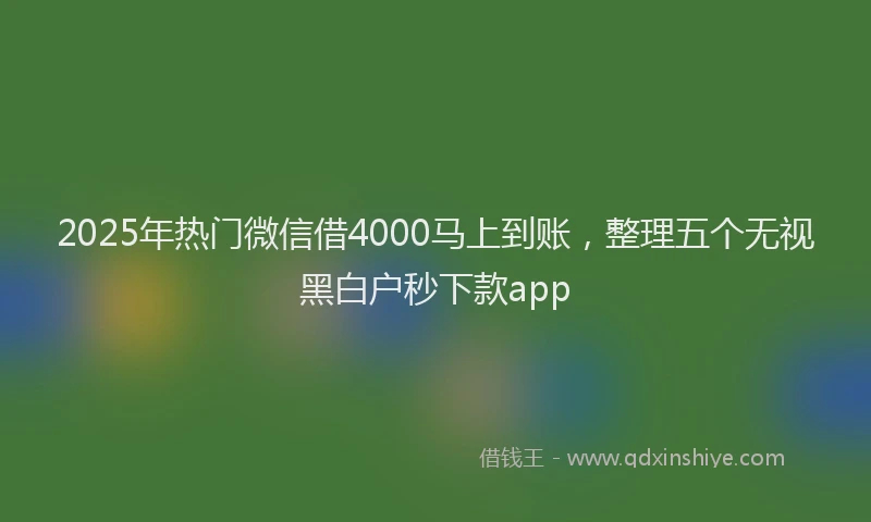 2025年热门微信借4000马上到账，整理五个无视黑白户秒下款app