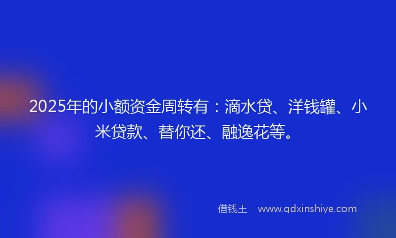 2025年的小额资金周转有：滴水贷、洋钱罐、小米贷款、替你还、融逸花等。