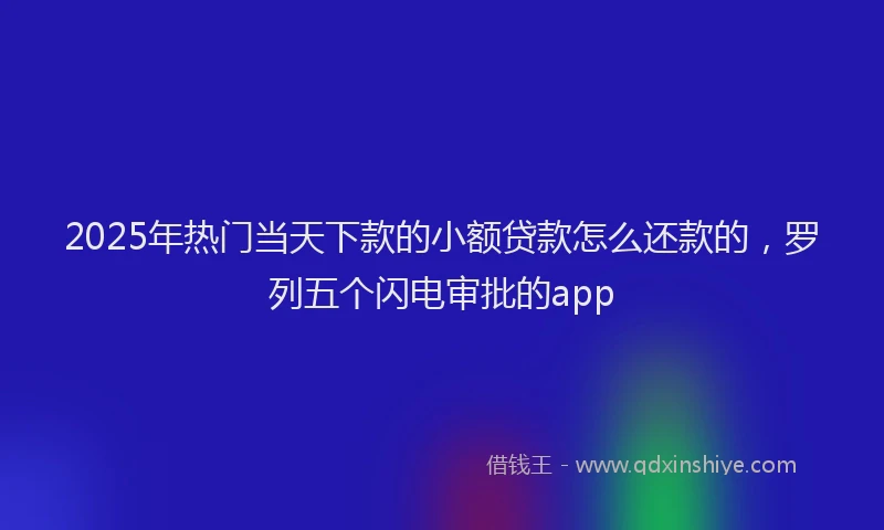 2025年热门当天下款的小额贷款怎么还款的，罗列五个闪电审批的app