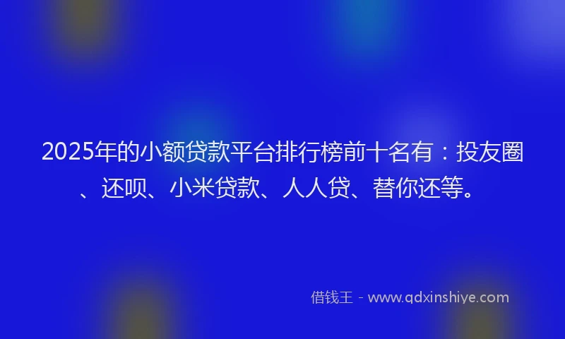 2025年的小额贷款平台排行榜前十名有：投友圈、还呗、小米贷款、人人贷、替你还等。