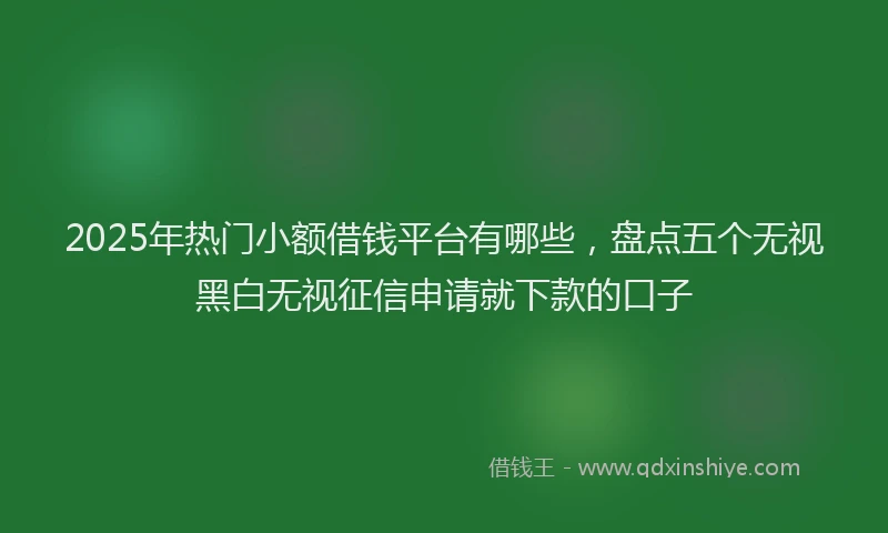 2025年热门小额借钱平台有哪些，盘点五个无视黑白无视征信申请就下款的口子