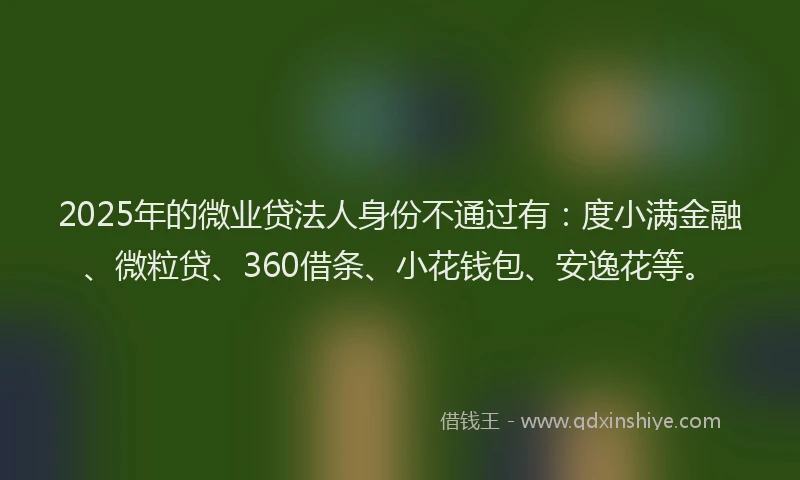2025年的微业贷法人身份不通过有：度小满金融、微粒贷、360借条、小花钱包、安逸花等。