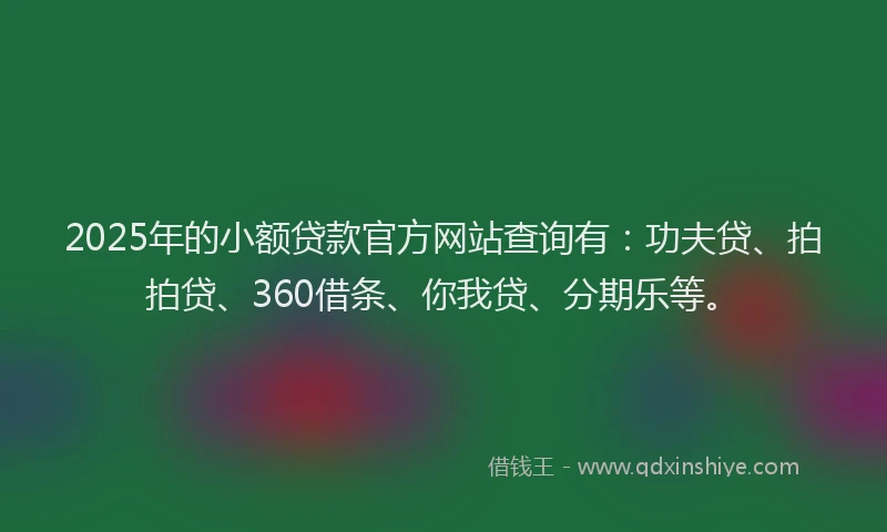 2025年的小额贷款官方网站查询有：功夫贷、拍拍贷、360借条、你我贷、分期乐等。