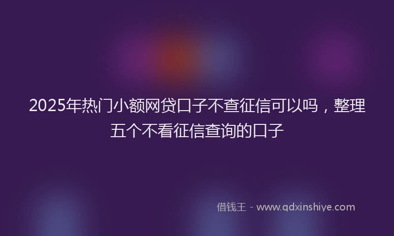2025年热门小额网贷口子不查征信可以吗，整理五个不看征信查询的口子