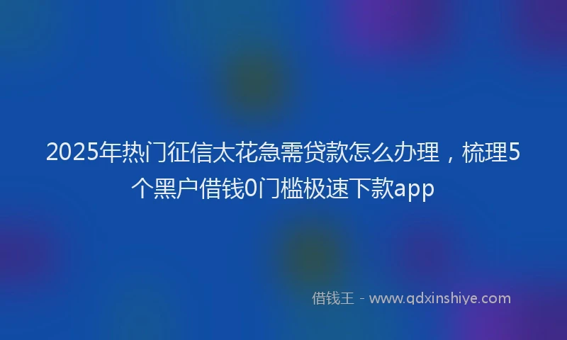 2025年热门征信太花急需贷款怎么办理，梳理5个黑户借钱0门槛极速下款app