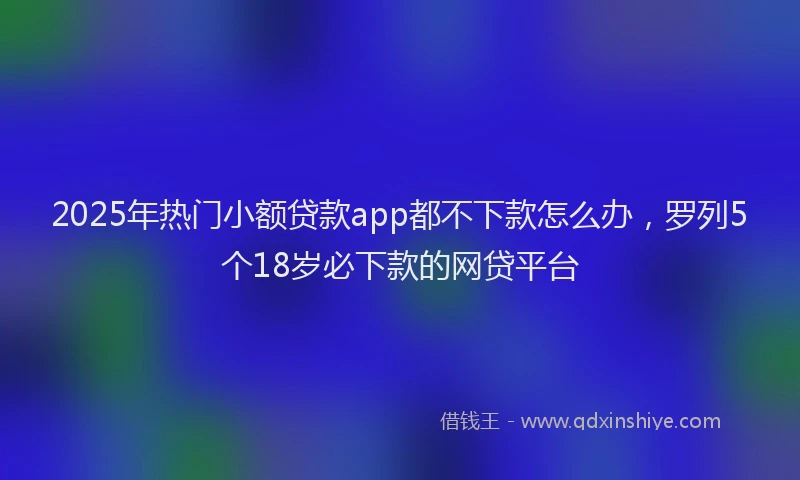 2025年热门小额贷款app都不下款怎么办，罗列5个18岁必下款的网贷平台