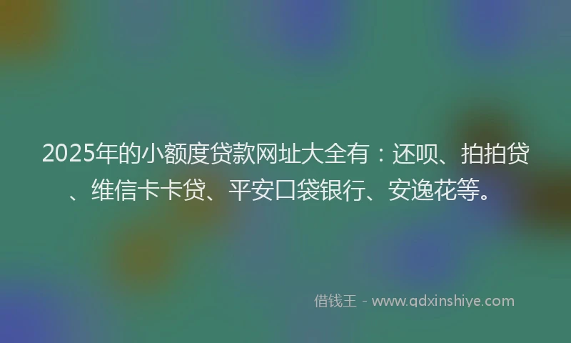 2025年的小额度贷款网址大全有:还呗、拍拍贷、维信卡卡贷、平安口袋银行、安逸花等。