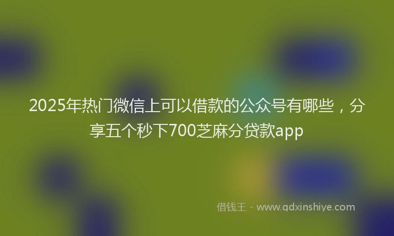 2025年热门微信上可以借款的公众号有哪些，分享五个秒下700芝麻分贷款app