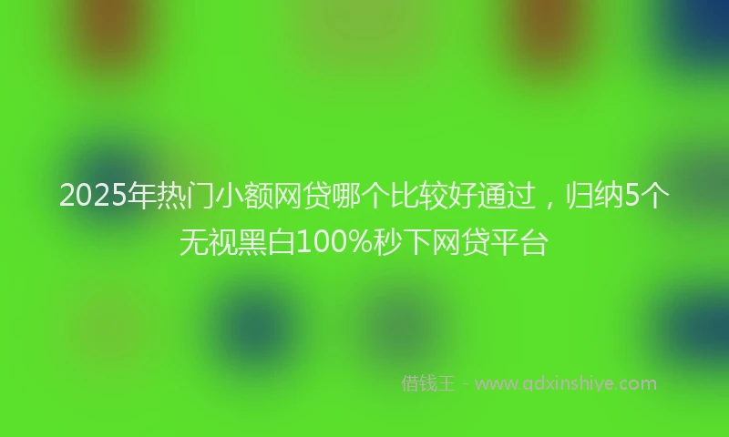 2025年热门小额网贷哪个比较好通过,归纳5个无视黑白100%秒下网贷平台