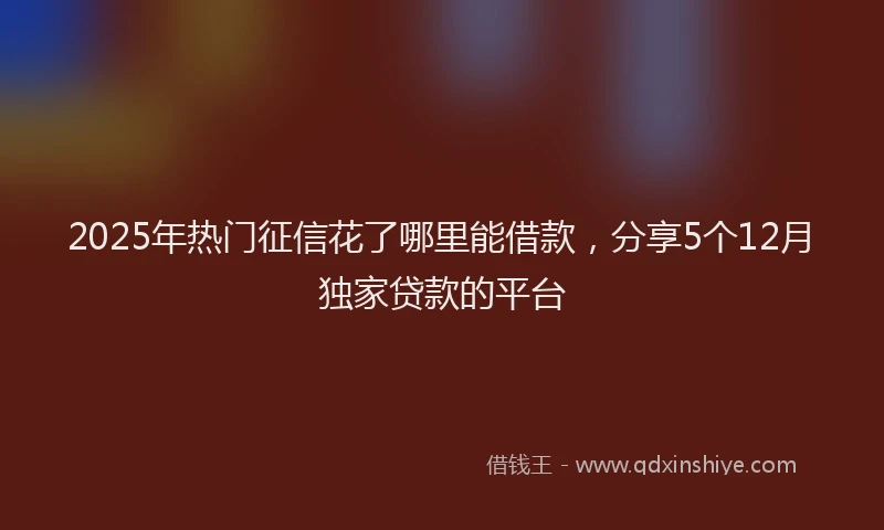 2025年热门征信花了哪里能借款，分享5个12月独家贷款的平台