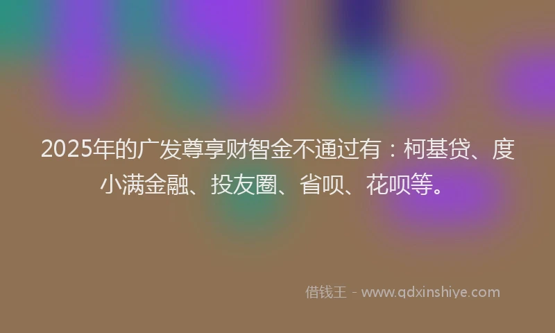 2025年的广发尊享财智金不通过有：柯基贷、度小满金融、投友圈、省呗、花呗等。