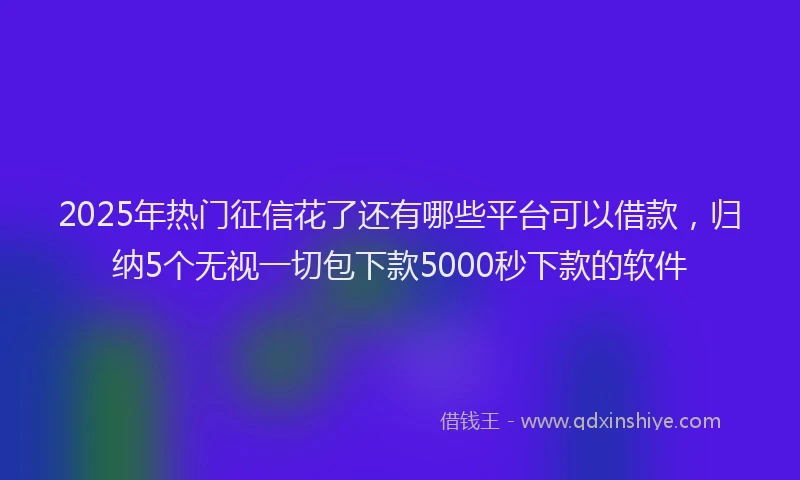 2025年热门征信花了还有哪些平台可以借款，归纳5个无视一切包下款5000秒下款的软件