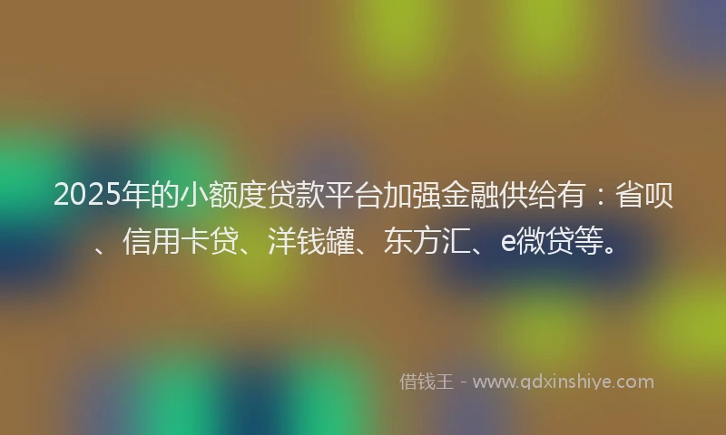 2025年的小额度贷款平台加强金融供给有：省呗、信用卡贷、洋钱罐、东方汇、e微贷等。