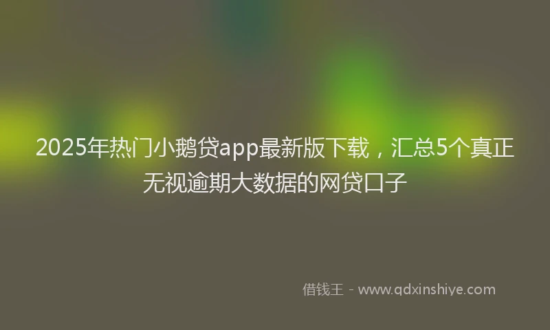 2025年热门小鹅贷app最新版下载，汇总5个真正无视逾期大数据的网贷口子