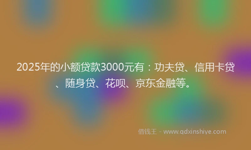 2025年的小额贷款3000元有:功夫贷、信用卡贷、随身贷、花呗、京东金融等。