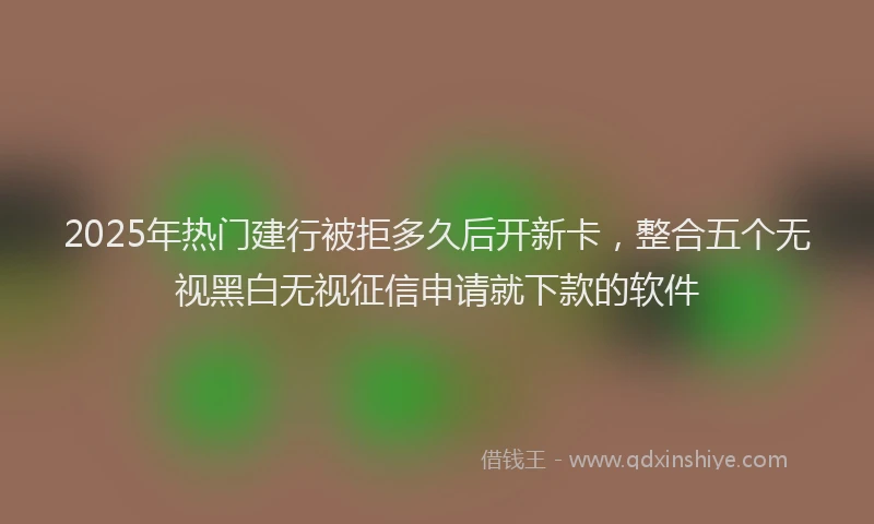 2025年热门建行被拒多久后开新卡，整合五个无视黑白无视征信申请就下款的软件