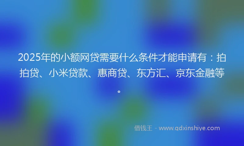 2025年的小额网贷需要什么条件才能申请有：拍拍贷、小米贷款、惠商贷、东方汇、京东金融等。