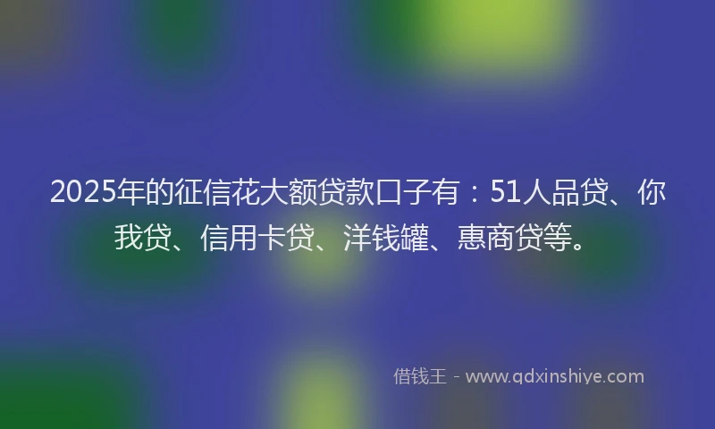 2025年的征信花大额贷款口子有：51人品贷、你我贷、信用卡贷、洋钱罐、惠商贷等。