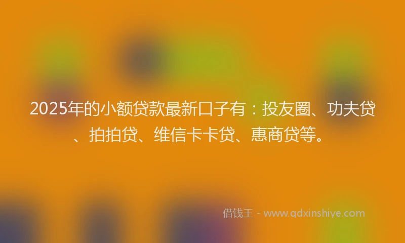 2025年的小额贷款最新口子有：投友圈、功夫贷、拍拍贷、维信卡卡贷、惠商贷等。