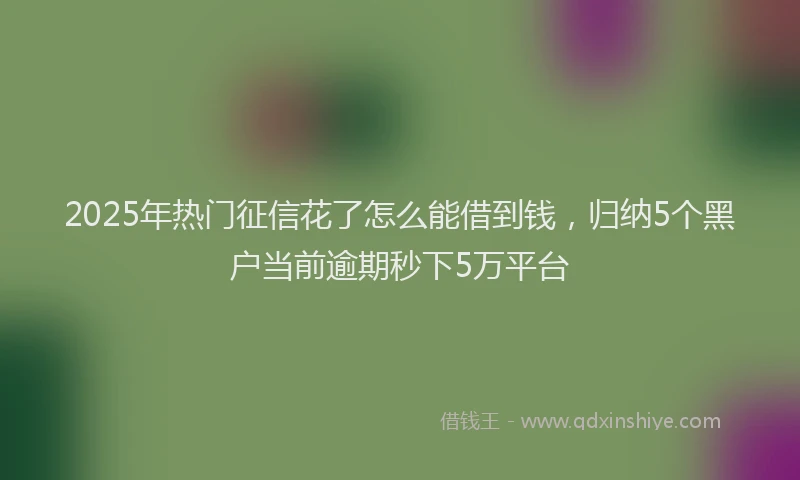 2025年热门征信花了怎么能借到钱，归纳5个黑户当前逾期秒下5万平台