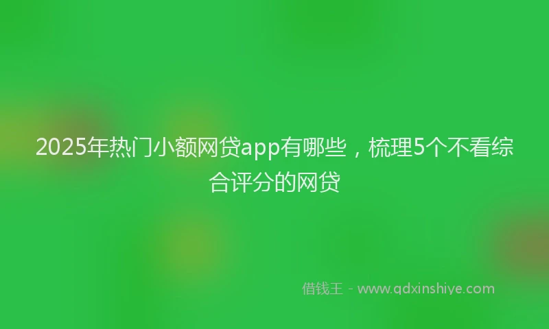 2025年热门小额网贷app有哪些，梳理5个不看综合评分的网贷