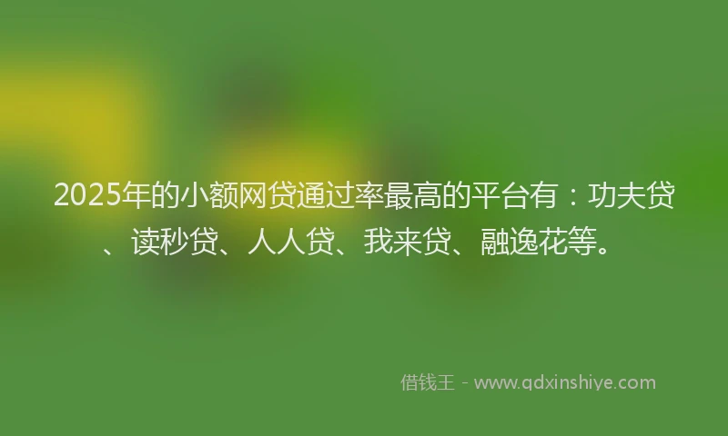 2025年的小额网贷通过率最高的平台有:功夫贷、读秒贷、人人贷、我来贷、融逸花等。