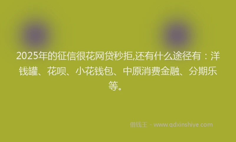 2025年的征信很花网贷秒拒,还有什么途径有：洋钱罐、花呗、小花钱包、中原消费金融、分期乐等。
