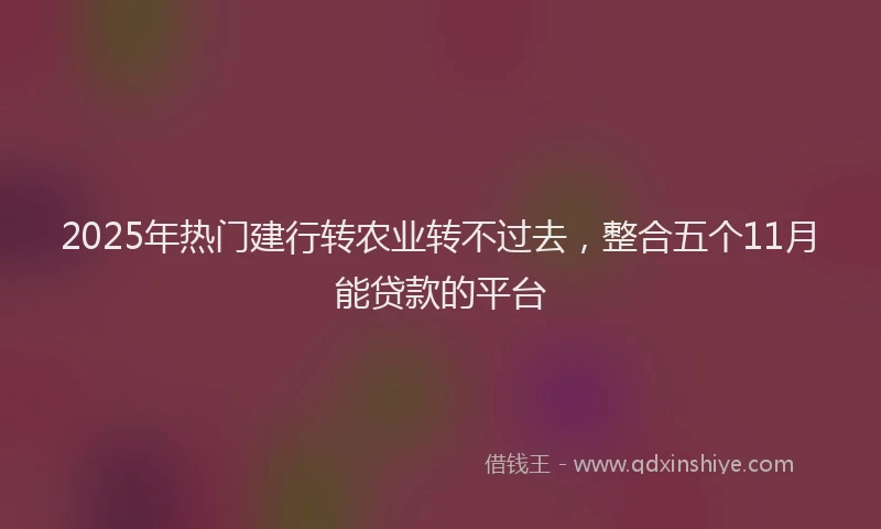 2025年热门建行转农业转不过去，整合五个11月能贷款的平台