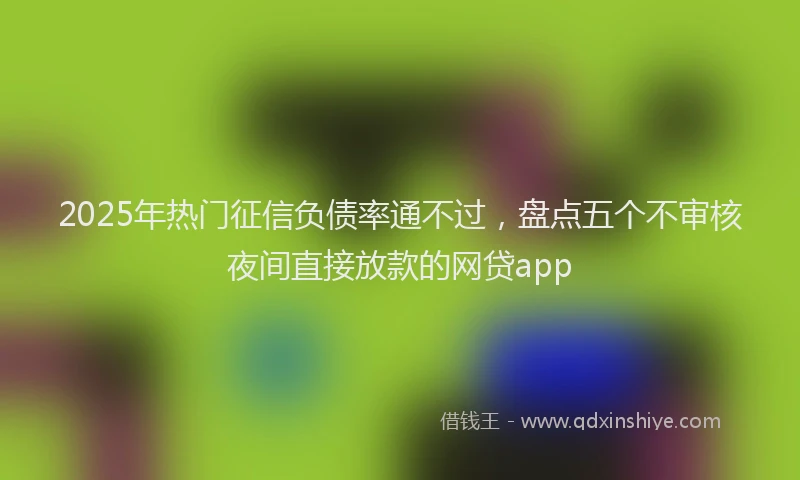 2025年热门征信负债率通不过，盘点五个不审核夜间直接放款的网贷app
