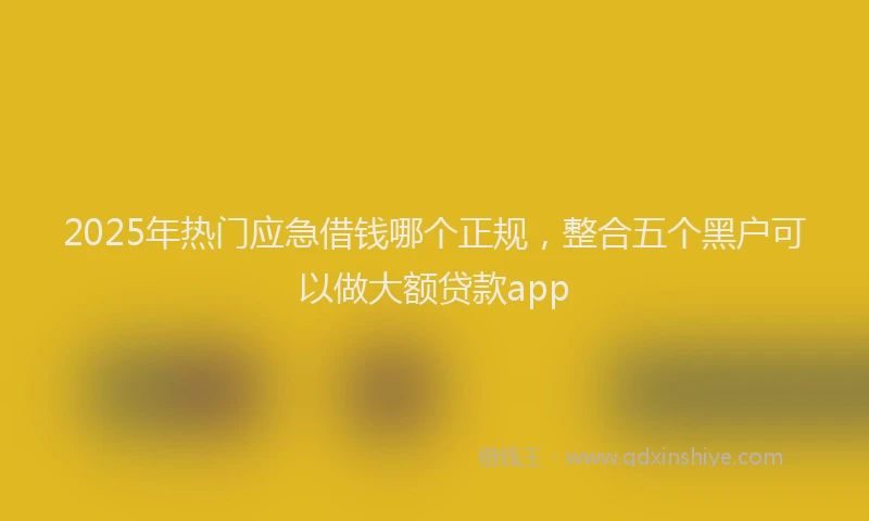 2025年热门应急借钱哪个正规，整合五个黑户可以做大额贷款app