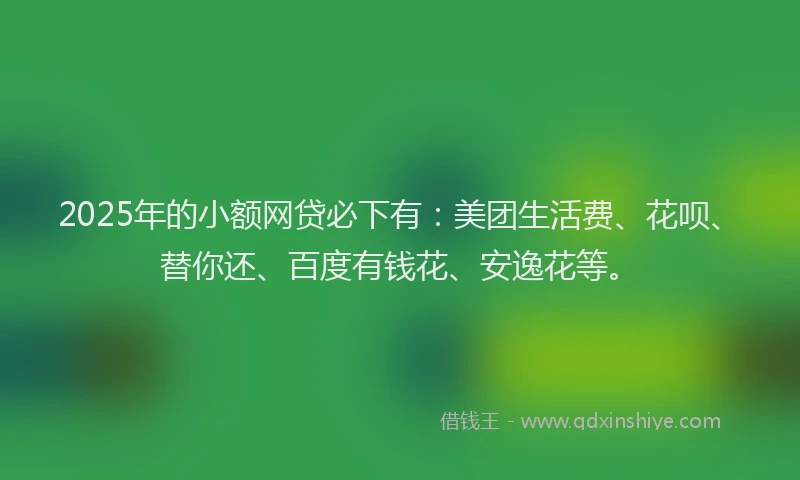 2025年的小额网贷必下有：美团生活费、花呗、替你还、百度有钱花、安逸花等。