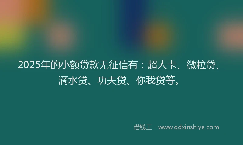 2025年的小额贷款无征信有：超人卡、微粒贷、滴水贷、功夫贷、你我贷等。