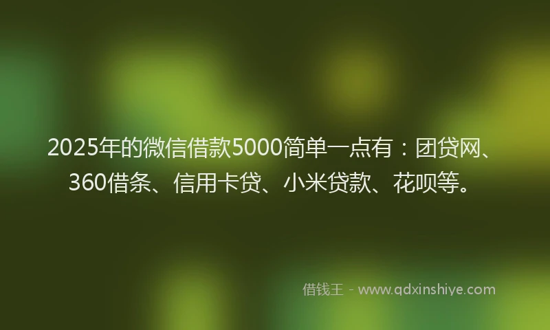2025年的微信借款5000简单一点有：团贷网、360借条、信用卡贷、小米贷款、花呗等。