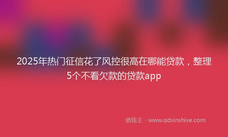 2025年热门征信花了风控很高在哪能贷款，整理5个不看欠款的贷款app