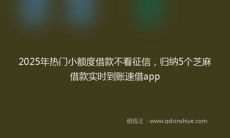 2025年热门小额度借款不看征信，归纳5个芝麻借款实时到账速借app
