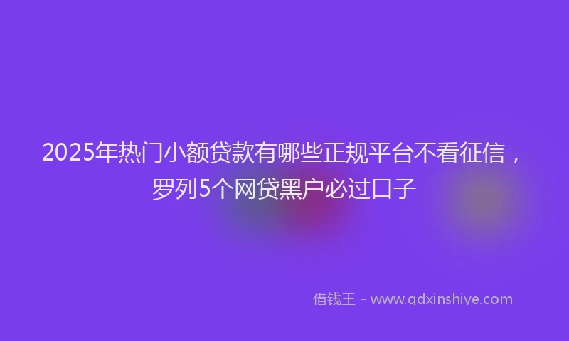 2025年热门小额贷款有哪些正规平台不看征信，罗列5个网贷黑户必过口子