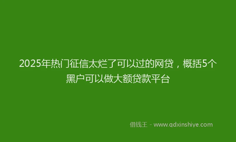 2025年热门征信太烂了可以过的网贷，概括5个黑户可以做大额贷款平台