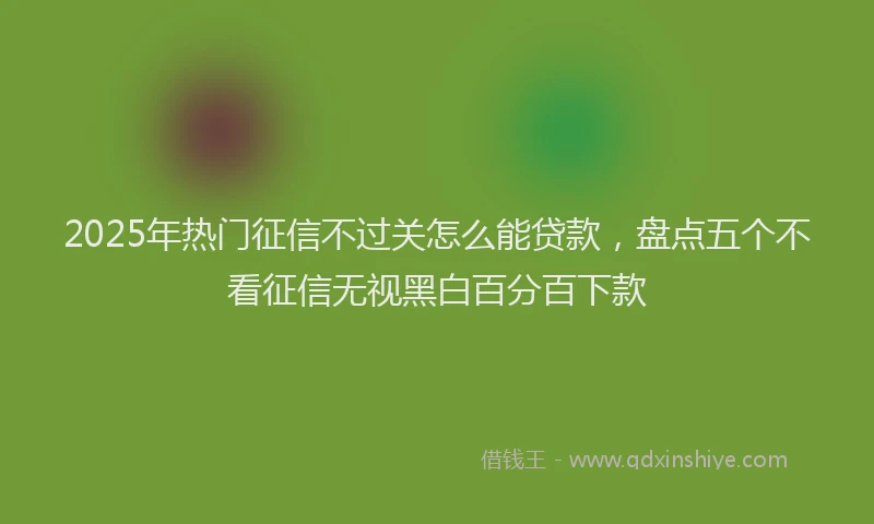 2025年热门征信不过关怎么能贷款，盘点五个不看征信无视黑白百分百下款