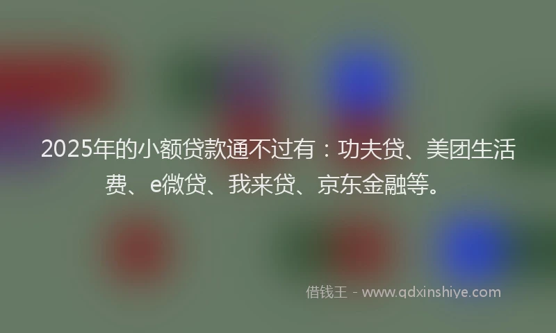 2025年的小额贷款通不过有：功夫贷、美团生活费、e微贷、我来贷、京东金融等。