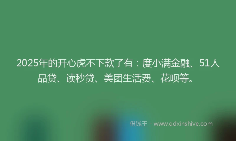 2025年的开心虎不下款了有：度小满金融、51人品贷、读秒贷、美团生活费、花呗等。