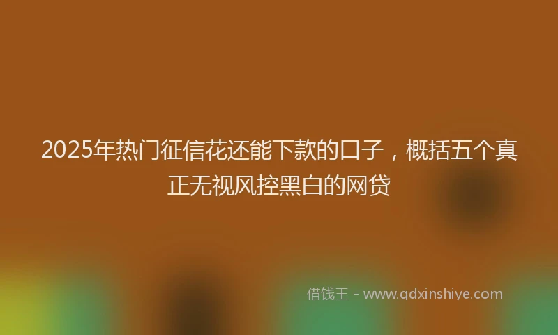 2025年热门征信花还能下款的口子，概括五个真正无视风控黑白的网贷