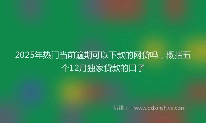 2025年热门当前逾期可以下款的网贷吗，概括五个12月独家贷款的口子