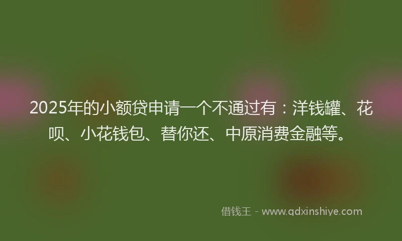 2025年的小额贷申请一个不通过有：洋钱罐、花呗、小花钱包、替你还、中原消费金融等。