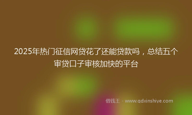 2025年热门征信网贷花了还能贷款吗，总结五个审贷口子审核加快的平台
