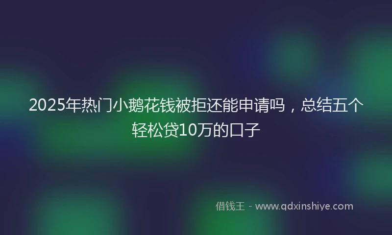 2025年热门小鹅花钱被拒还能申请吗，总结五个轻松贷10万的口子