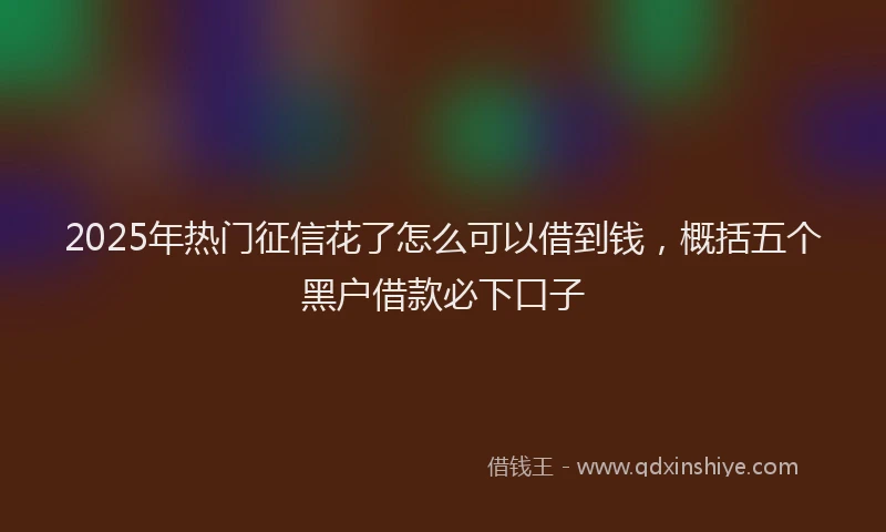 2025年热门征信花了怎么可以借到钱，概括五个黑户借款必下口子