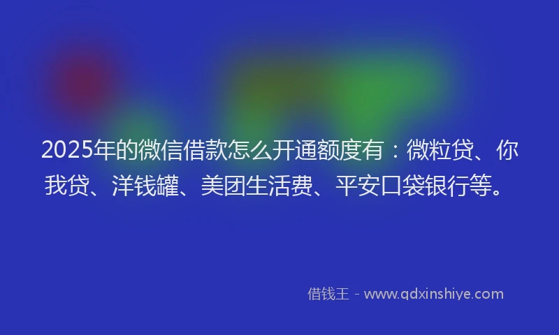 2025年的微信借款怎么开通额度有：微粒贷、你我贷、洋钱罐、美团生活费、平安口袋银行等。