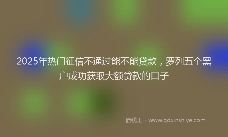 2025年热门征信不通过能不能贷款，罗列五个黑户成功获取大额贷款的口子