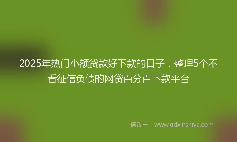 2025年热门小额贷款好下款的口子,整理5个不看征信负债的网贷百分百下款平台